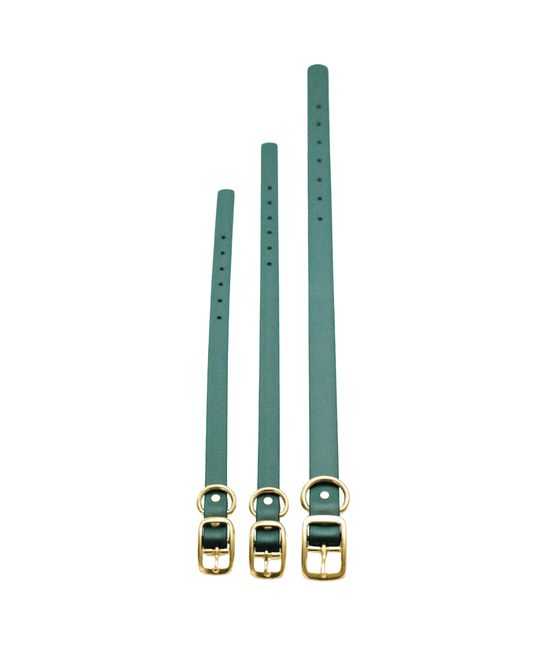 Forest Green Waterproof Biothane Collar - Paws & Play Paradise