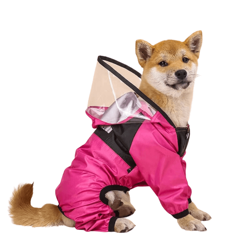 Frontier Rain Coat - Paws & Play Paradise