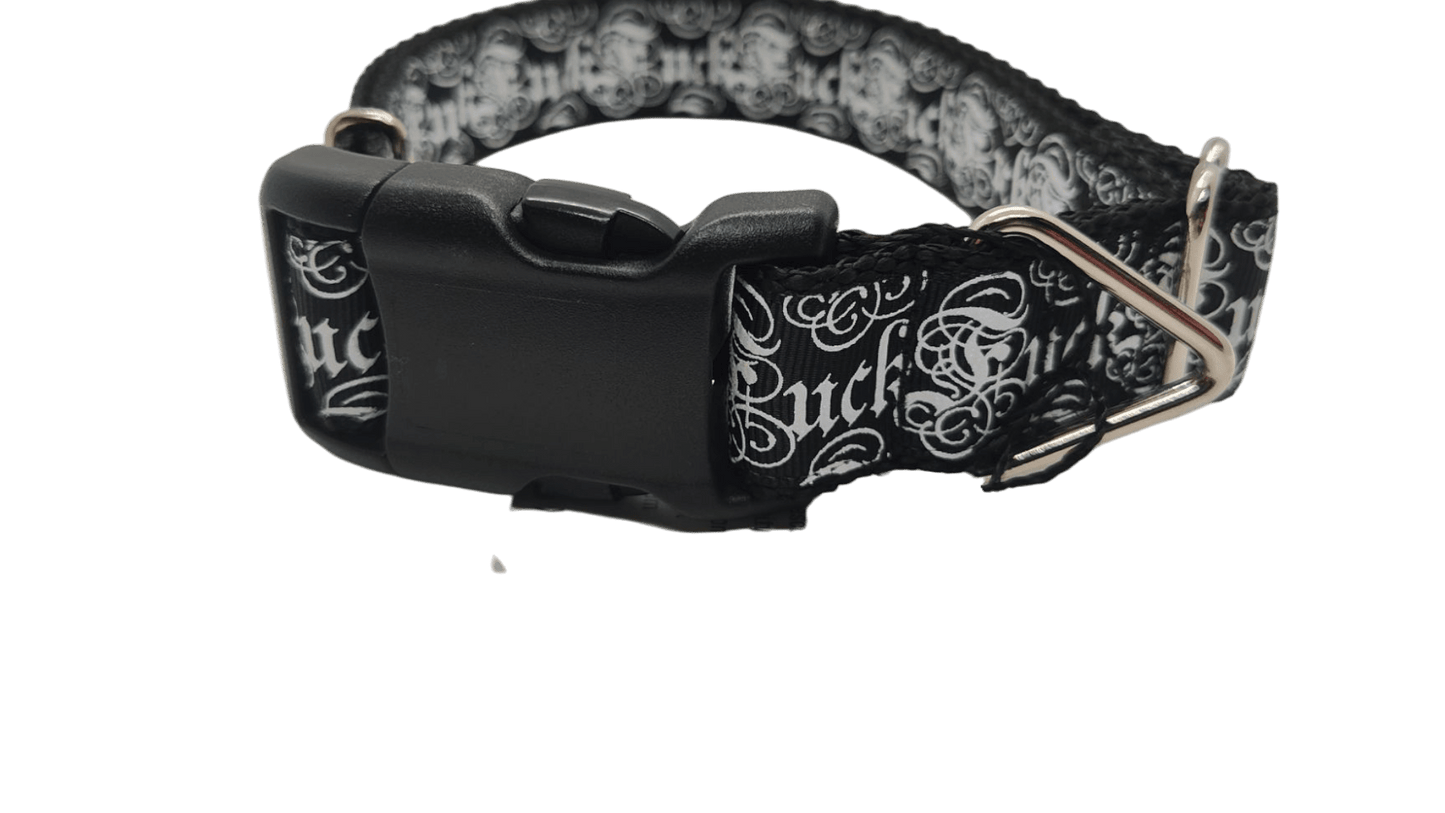 Fuck Black Nylon Dog Collar - Paws & Play Paradise