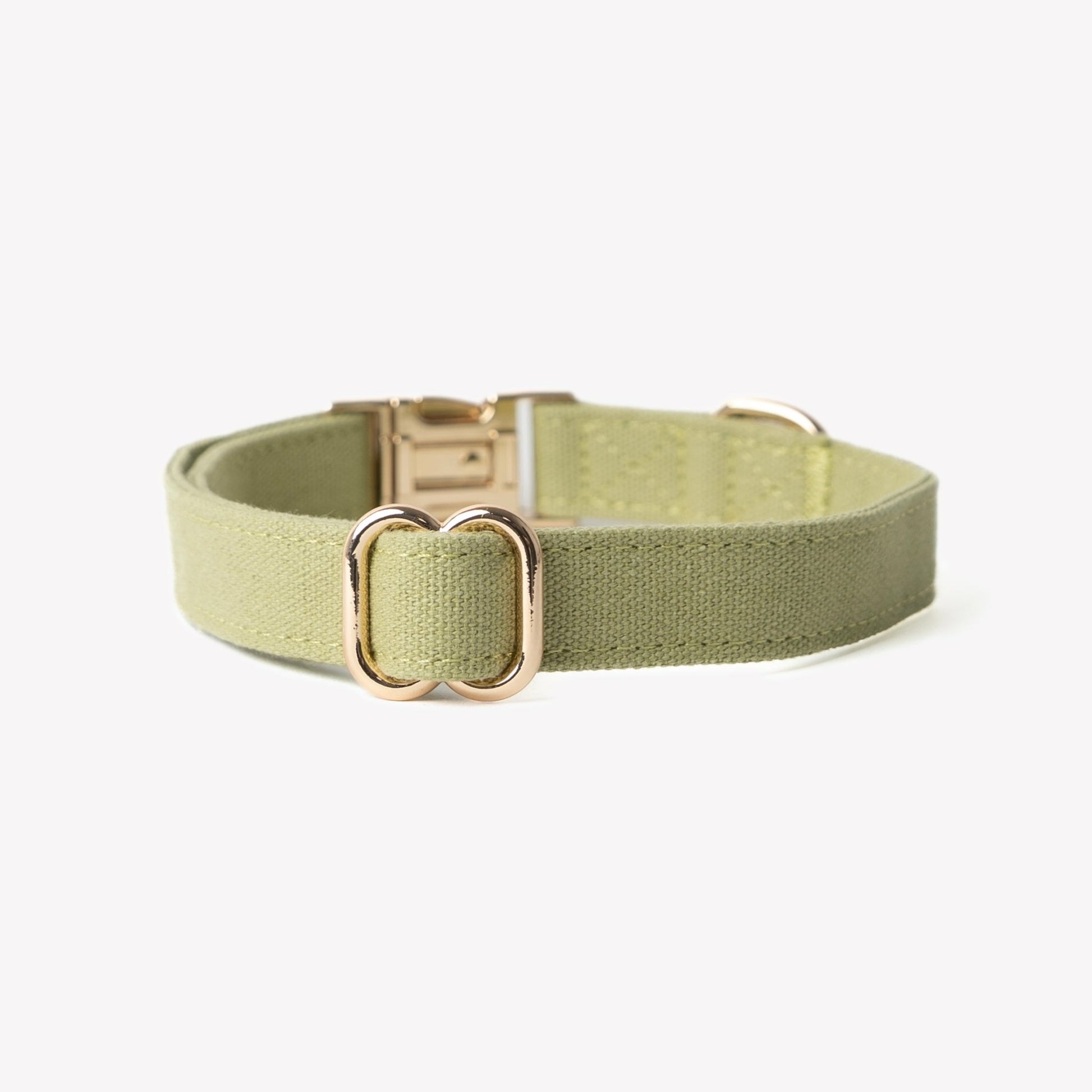 'Green' - Canvas Dog Collar - Paws & Play Paradise