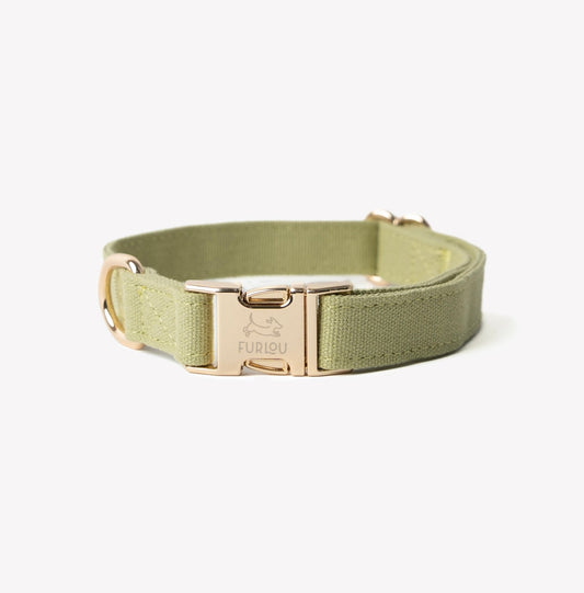 'Green' - Canvas Dog Collar - Paws & Play Paradise