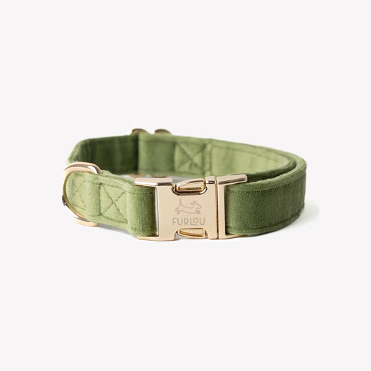 'Green' - Velvet Dog Collar - Paws & Play Paradise