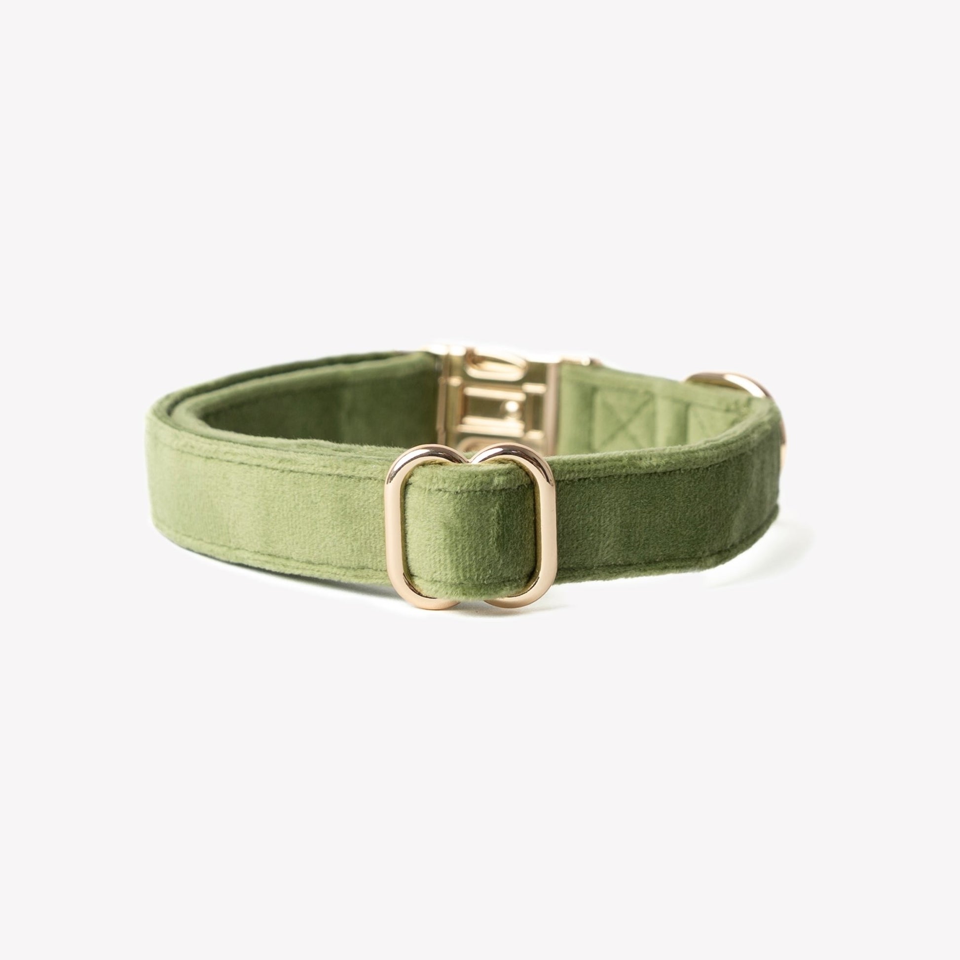 'Green' - Velvet Dog Collar - Paws & Play Paradise