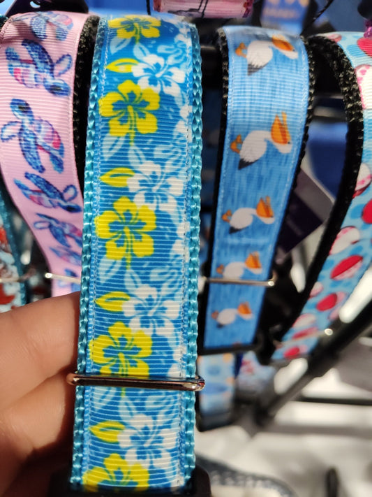 Hawaiian Flowers Nylon Dog Collar - Paws & Play Paradise