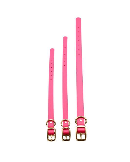 Hot Pink Waterproof Biothane Collar - Paws & Play Paradise
