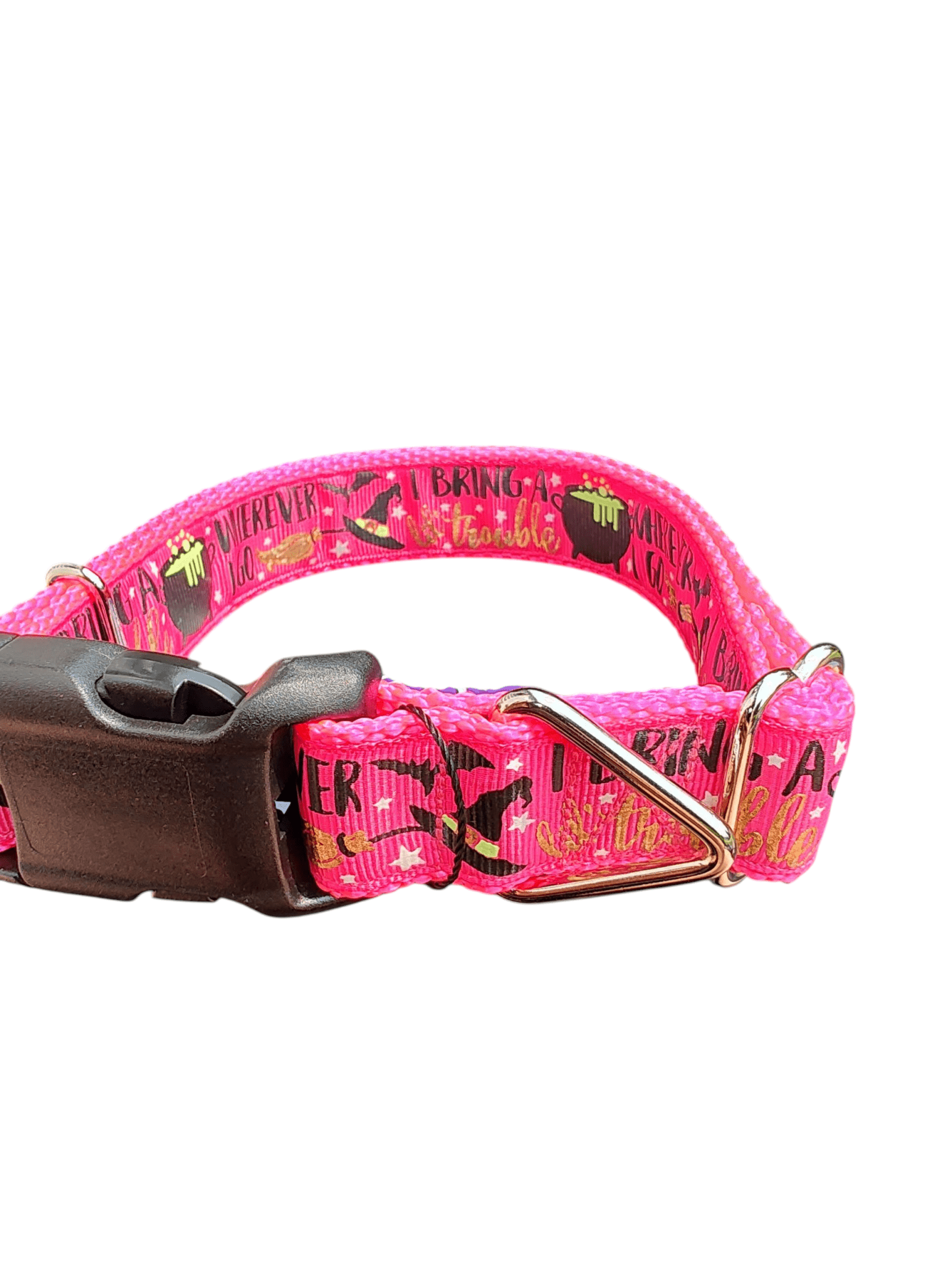 I Bring Trouble Nylon Dog Collar - Paws & Play Paradise