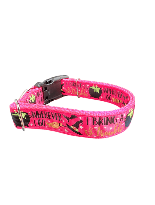 I Bring Trouble Nylon Dog Collar - Paws & Play Paradise