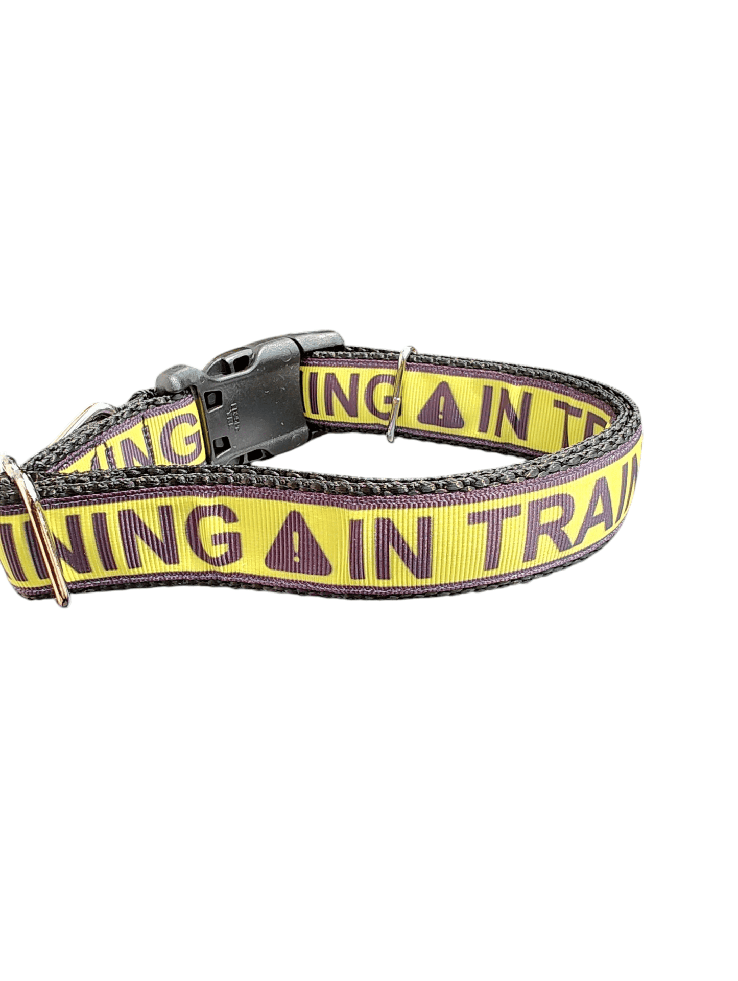 In Training Nylon Dog Collar - Paws & Play Paradise