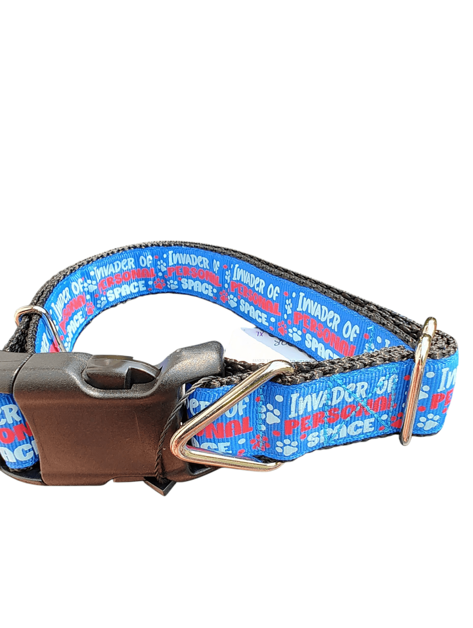 Invader of Personal Space Blue Nylon Dog Collar - Paws & Play Paradise