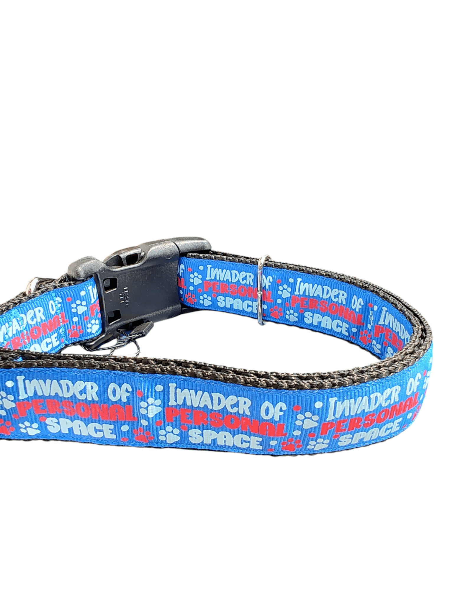 Invader of Personal Space Blue Nylon Dog Collar - Paws & Play Paradise