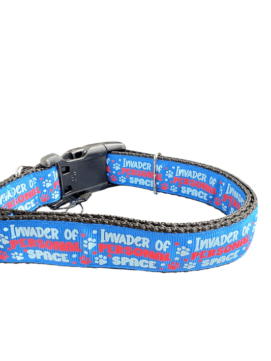 Invader of Personal Space Blue Nylon Dog Collar - Paws & Play Paradise