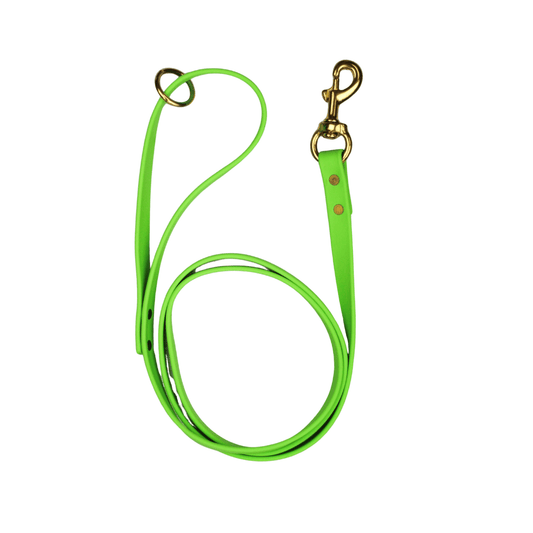 Key Lime Biothane Leash - Paws & Play Paradise