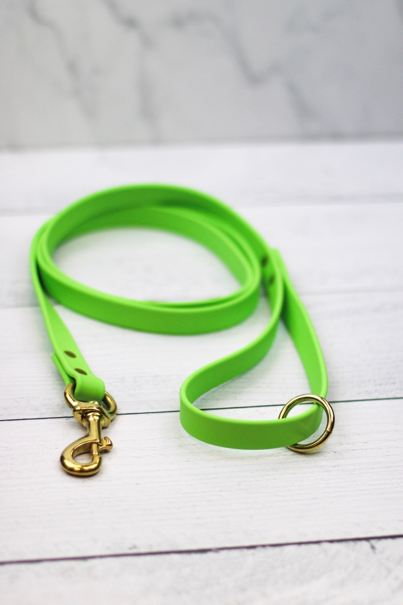 Key Lime Biothane Leash - Paws & Play Paradise