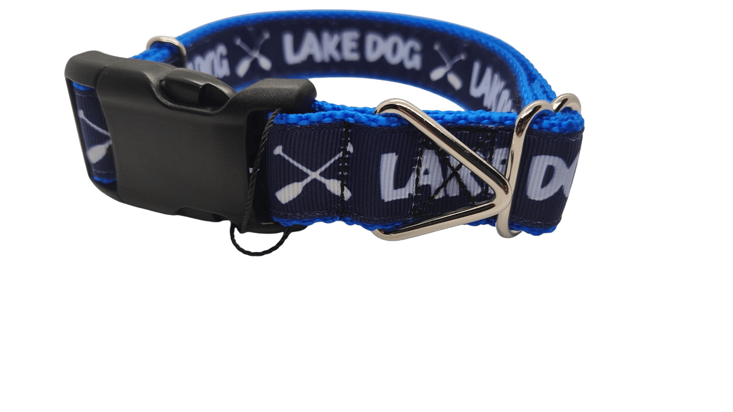 Lake Dog Blue Nylon Dog Collar - Paws & Play Paradise