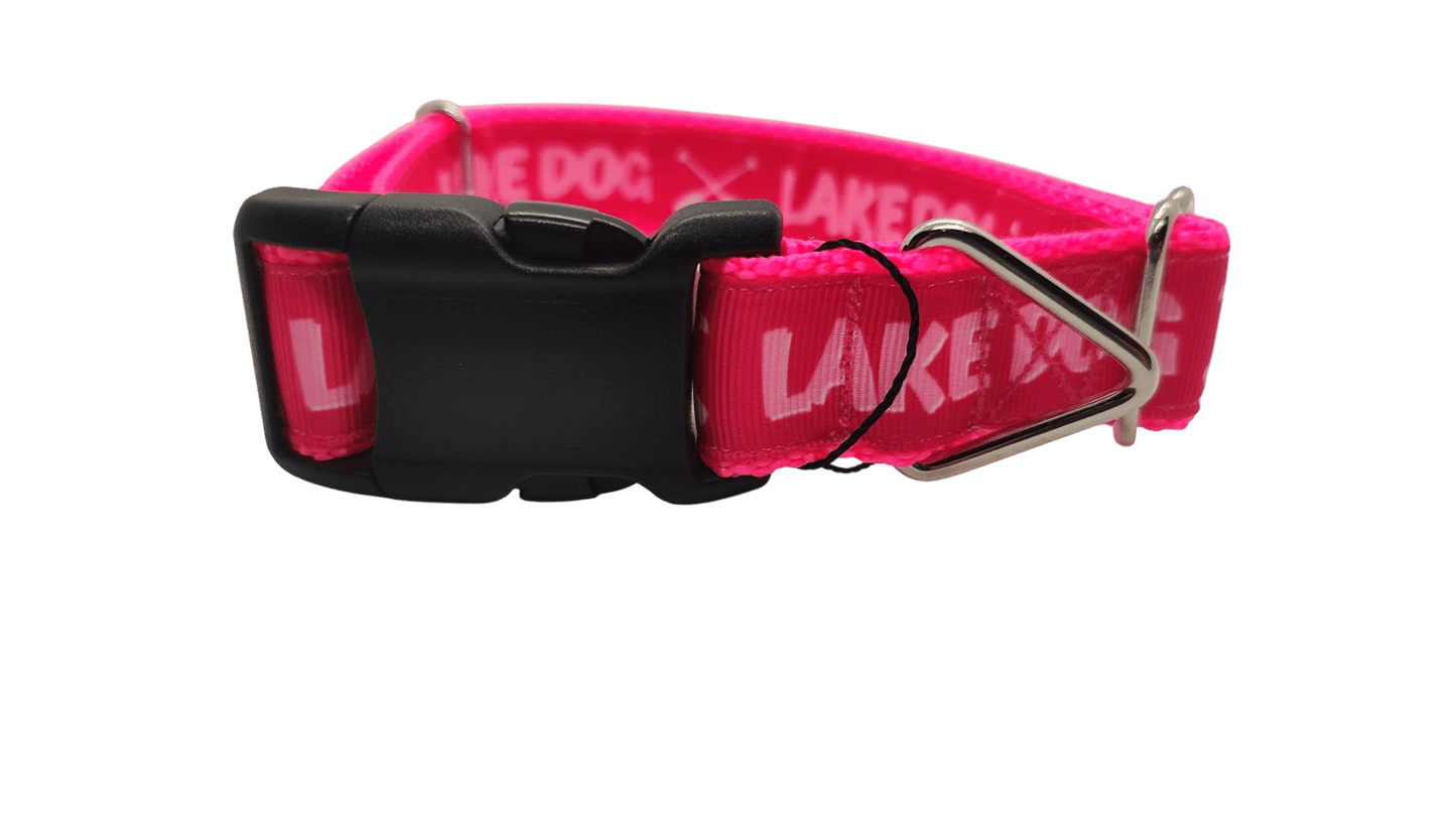 Lake Dog Pink Nylon Dog Collar - Paws & Play Paradise