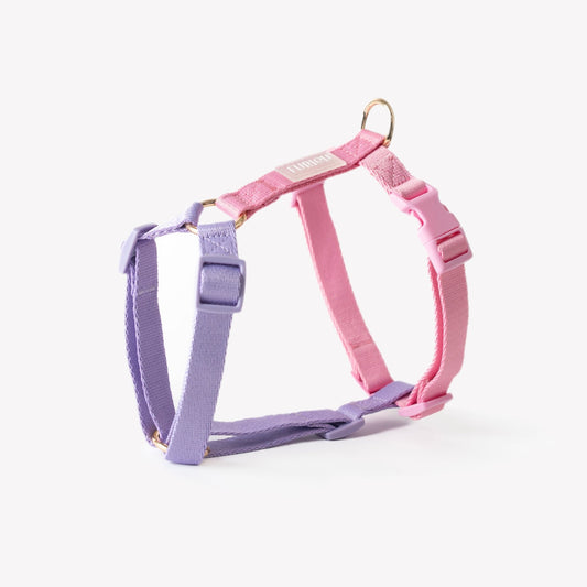 Lavender and Pink - Dog Harness - Paws & Play Paradise