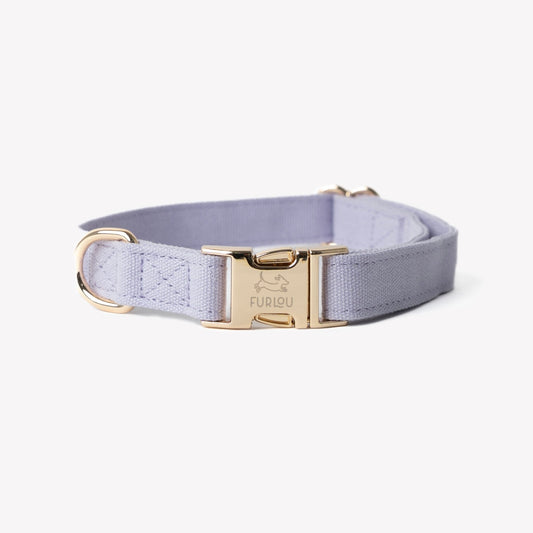 'Lavender' - Canvas Dog Collar - Paws & Play Paradise