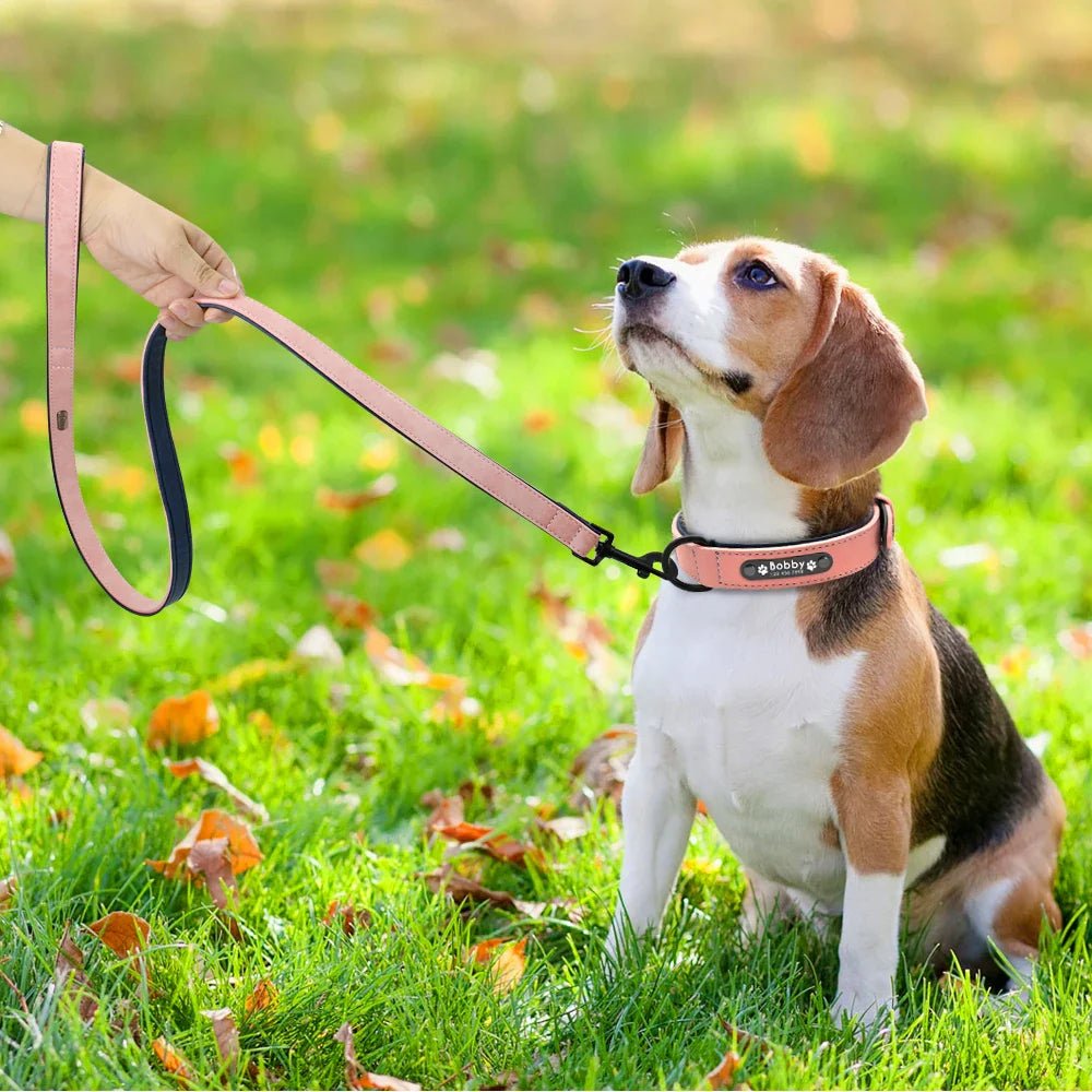 Leather Dog Collar Leash Custom Durable Leather Pet Collars and Leashes Walking Leads Strap Cusomized for Small Medium Large Dog - Paws & Play Paradise