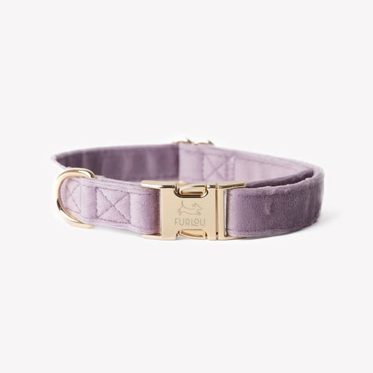 'Lilac' - Velvet Dog Collar - Paws & Play Paradise
