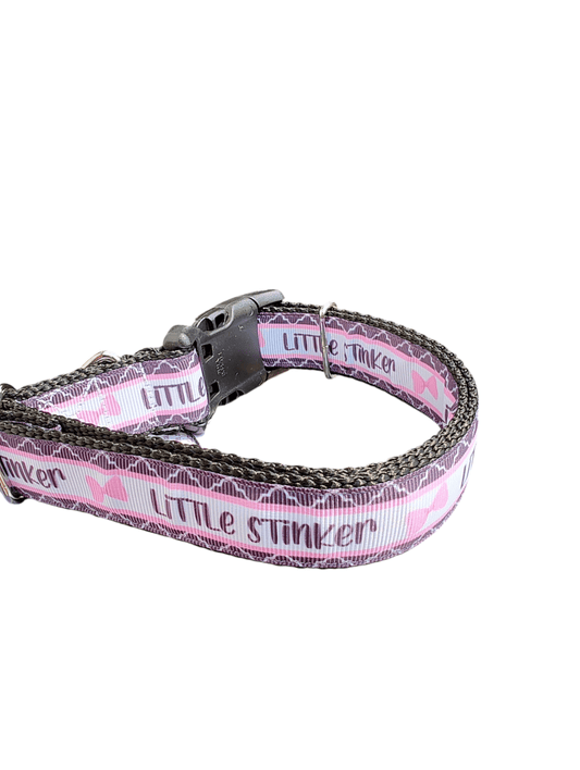 Little Stinker Nylon Dog Collar - Paws & Play Paradise