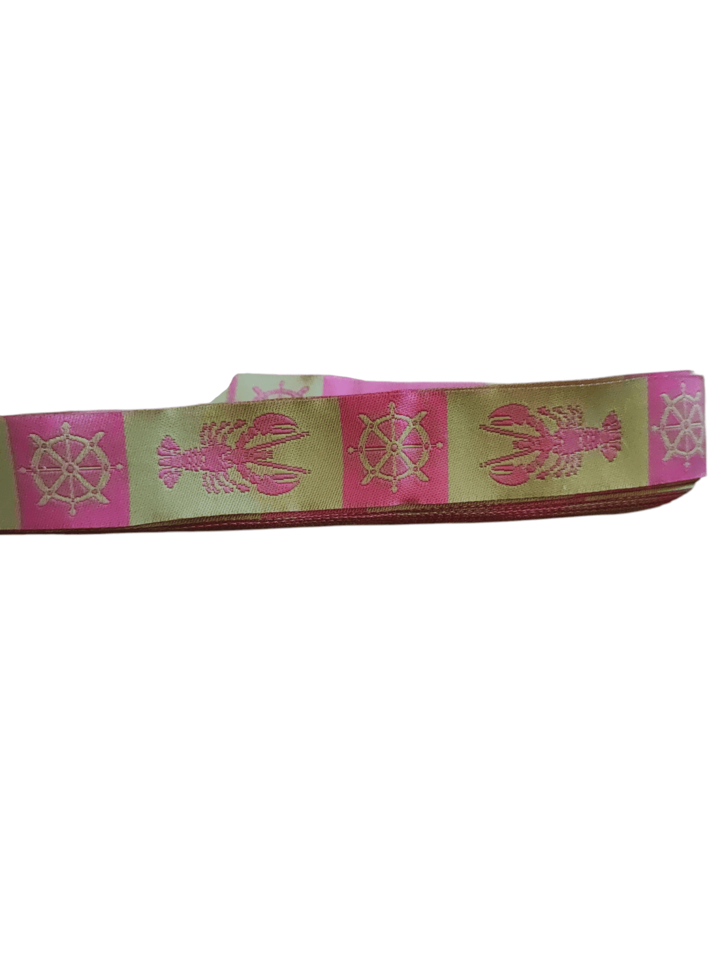 Lobsters and Wheels Nylon Dog Collar - Paws & Play Paradise