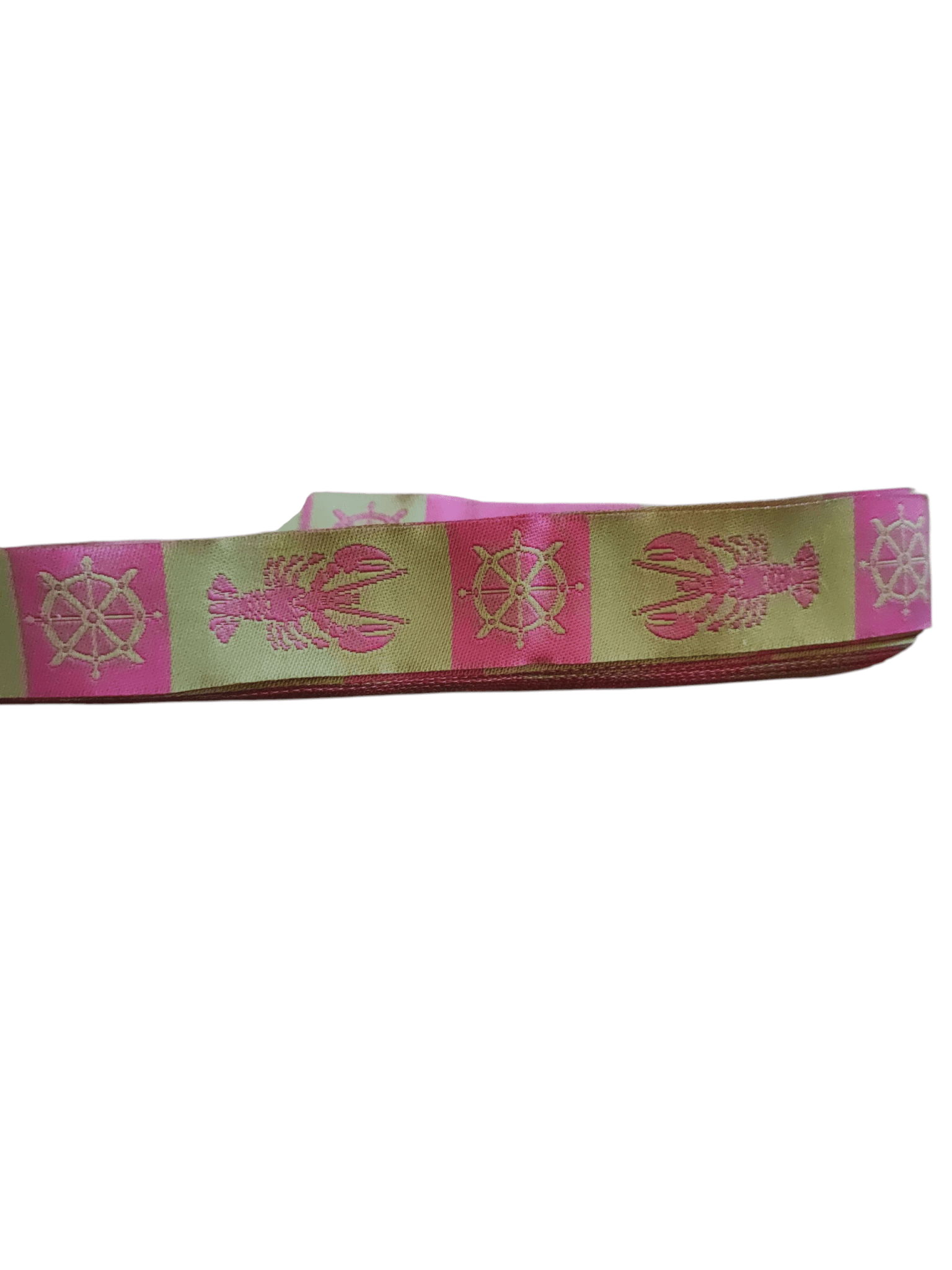 Lobsters and Wheels Nylon Dog Collar - Paws & Play Paradise