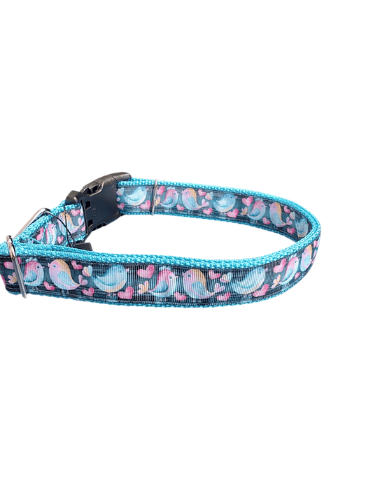 Love Birds Nylon Dog Collar - Paws & Play Paradise