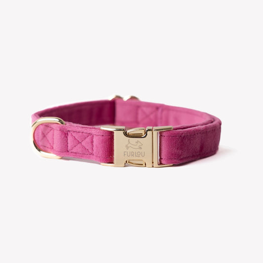 'Magenta' - Velvet Dog Collar - Paws & Play Paradise