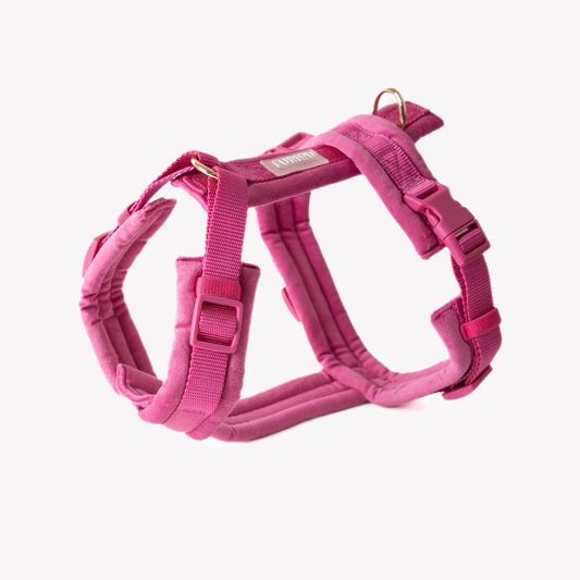 Magenta - Velvet Dog Harness - Paws & Play Paradise