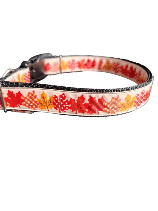 Maple Leaves Nylon Dog Collar - Paws & Play Paradise