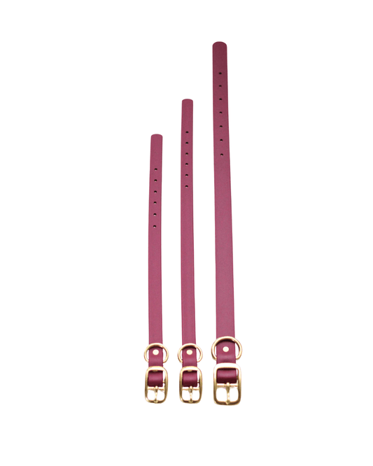Maroon Waterproof Biothane Collar - Paws & Play Paradise