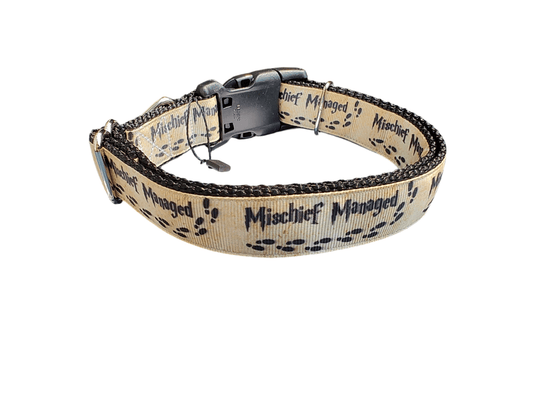 Mischief Managed Nylon Dog Collar - Paws & Play Paradise
