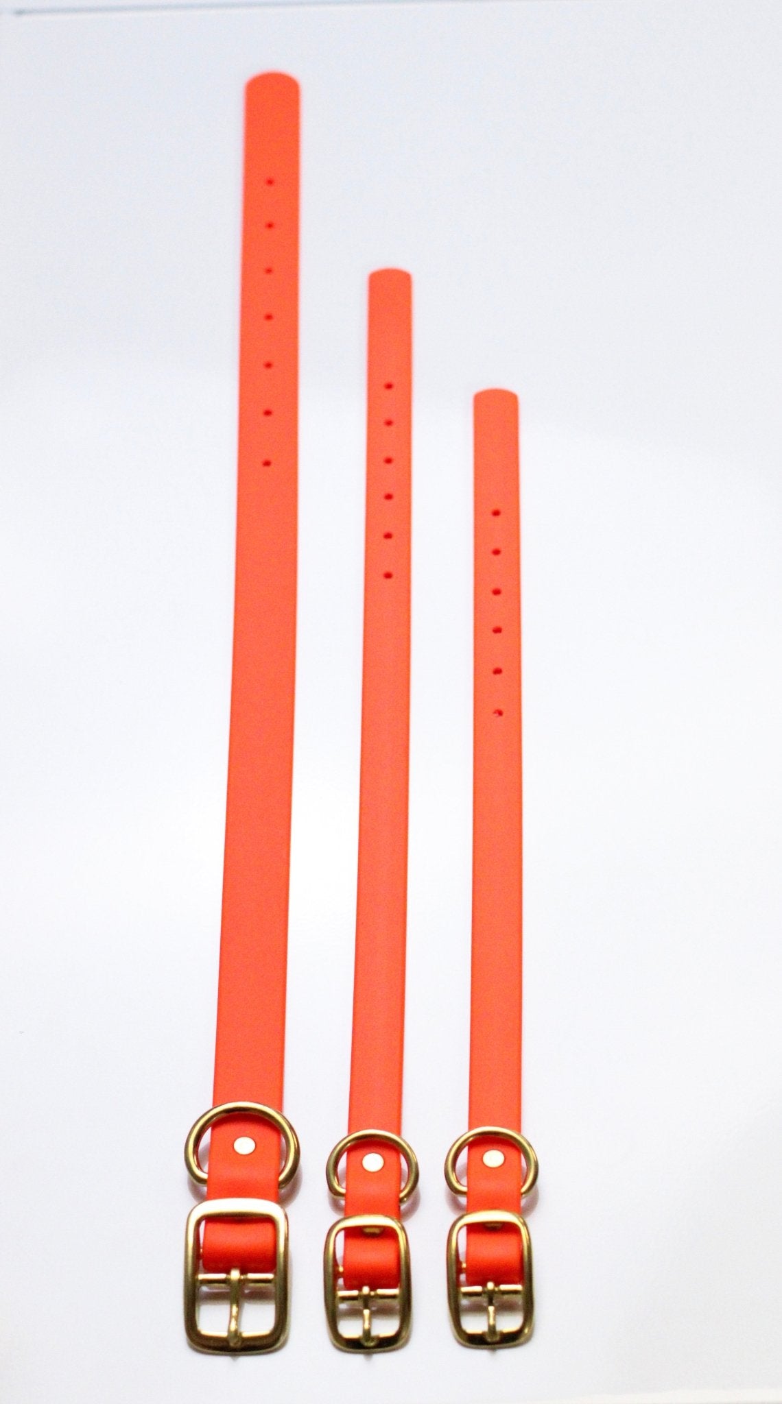 Neon Orange Waterproof Biothane Collar - Paws & Play Paradise
