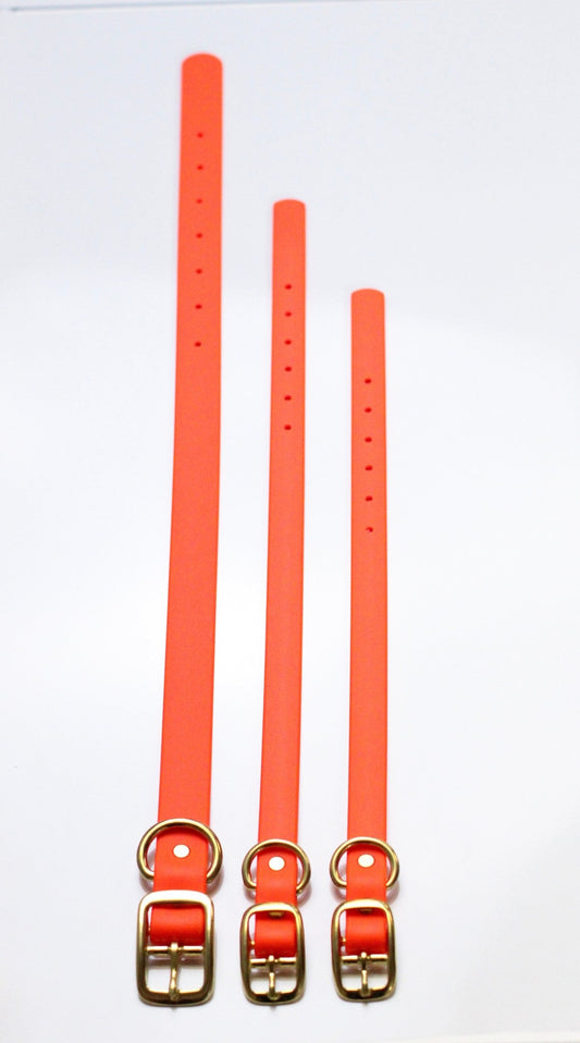 Neon Orange Waterproof Biothane Collar - Paws & Play Paradise
