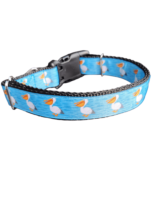 Pelicans Nylon Dog Collar - Paws & Play Paradise