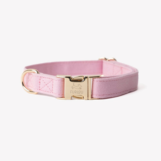 'Pink' - Canvas Dog Collar - Paws & Play Paradise
