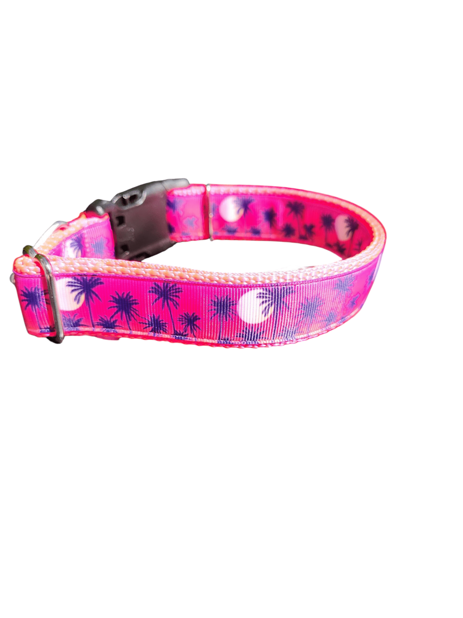 Pink Palm Trees Nylon Dog Collar - Paws & Play Paradise