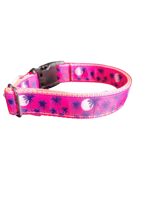 Pink Palm Trees Nylon Dog Collar - Paws & Play Paradise