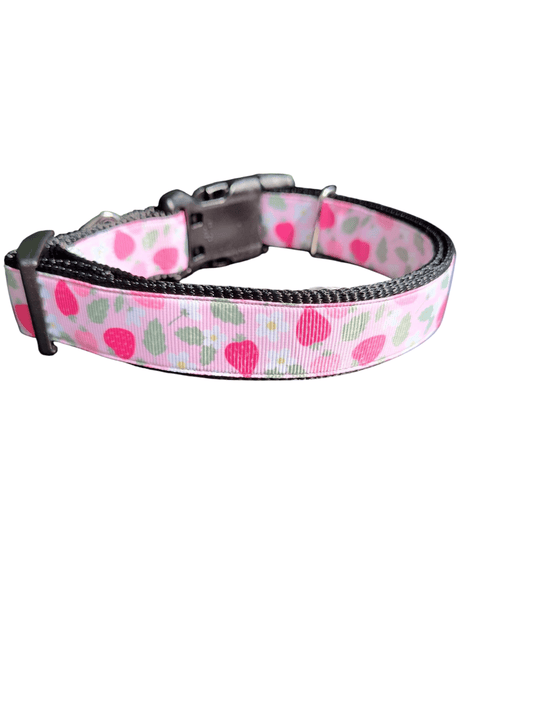 Pink Strawberries Nylon Dog Collar - Paws & Play Paradise