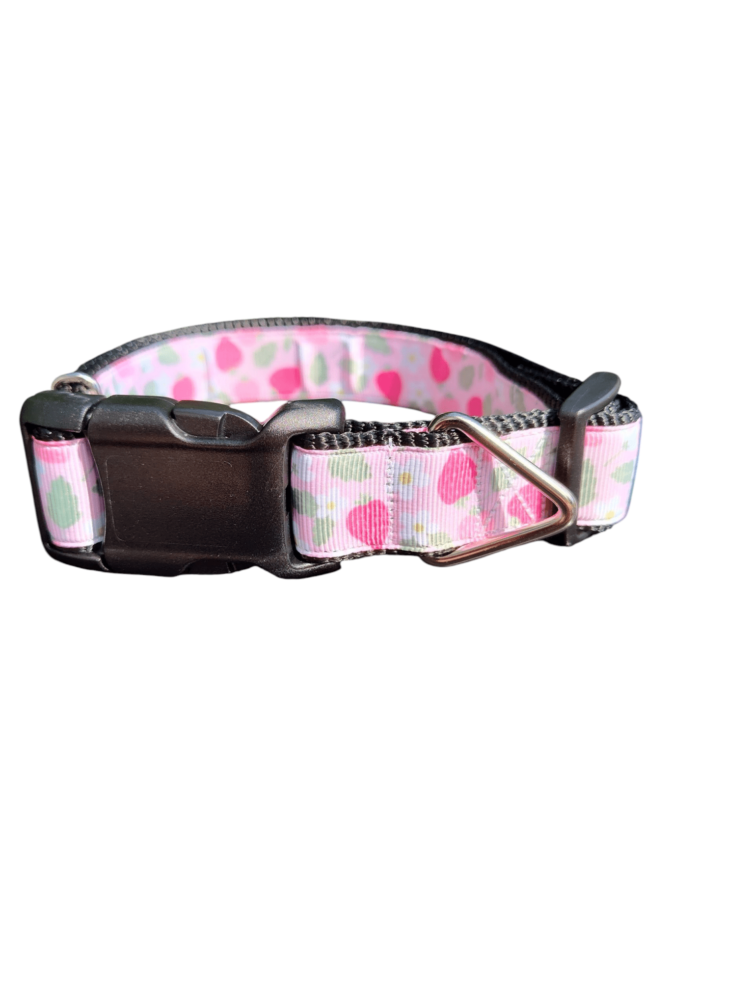 Pink Strawberries Nylon Dog Collar - Paws & Play Paradise