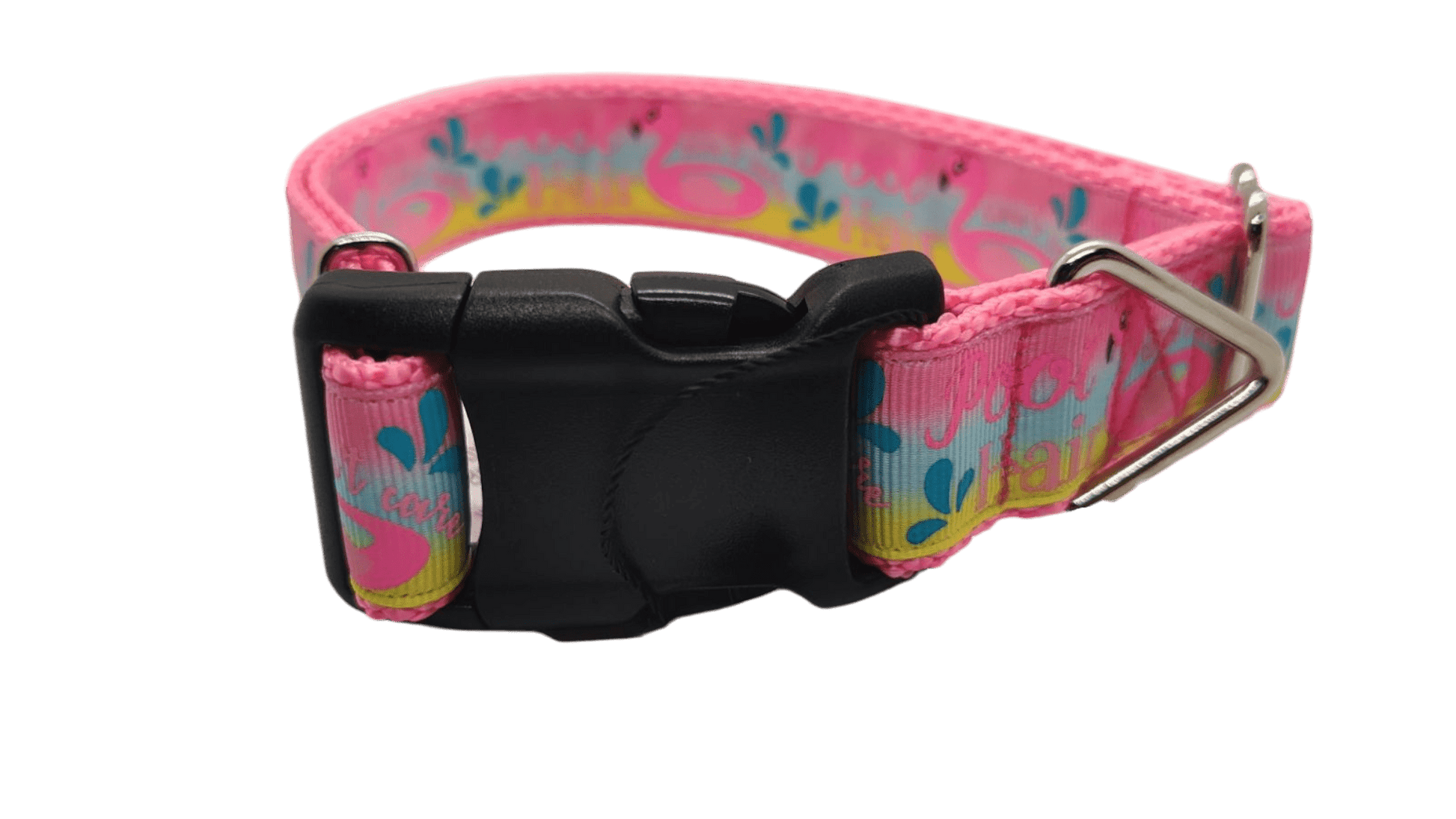 Pool Hair Don't Care Nylon Dog Collar - Paws & Play Paradise