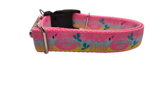 Pool Hair Don't Care Nylon Dog Collar - Paws & Play Paradise