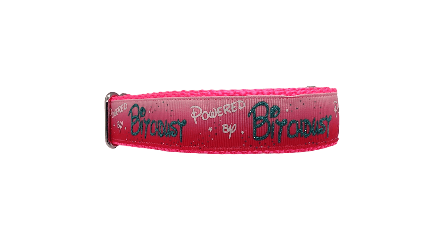 Powered By Bitchdust Nylon Dog Collar - Paws & Play Paradise
