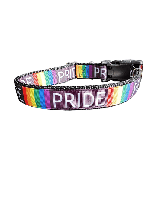 Pride Rainbow Nylon Dog Collar - Paws & Play Paradise