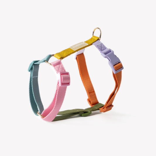 Rainbow - Dog Harness - Paws & Play Paradise