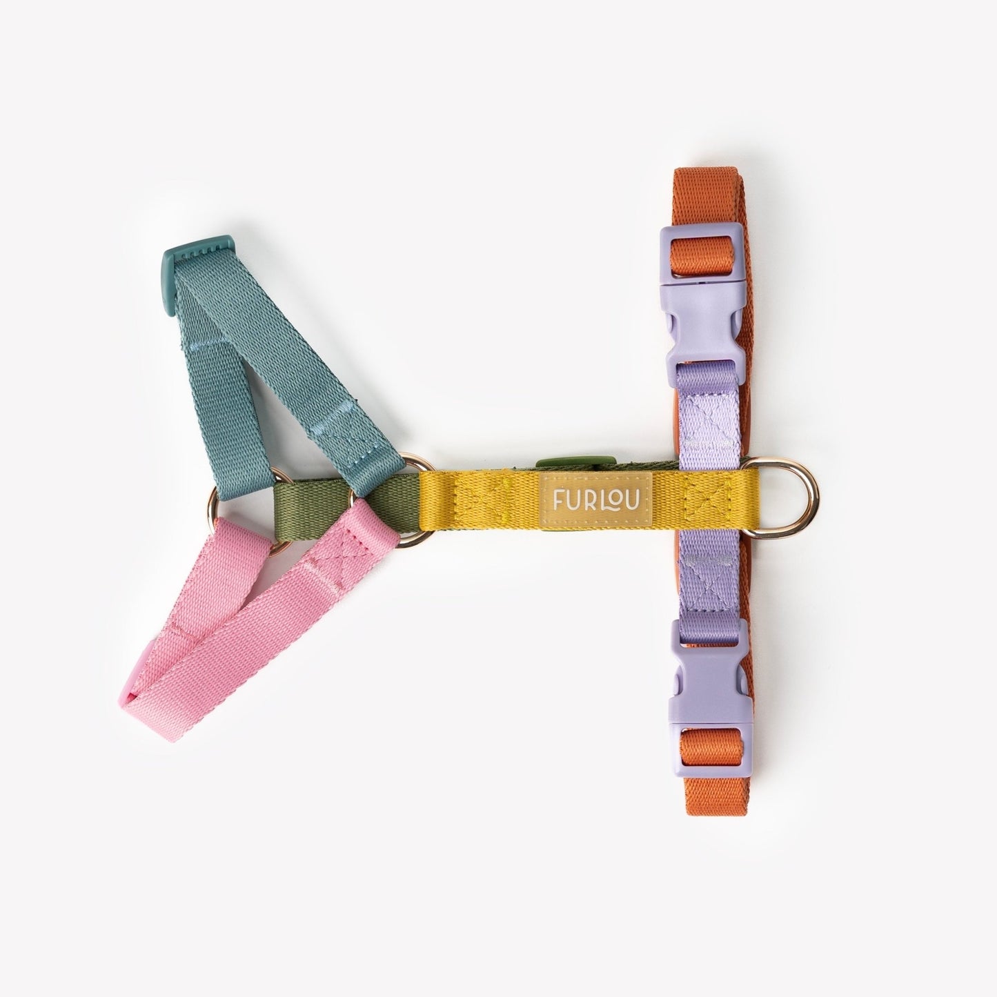 Rainbow - Dog Harness - Paws & Play Paradise
