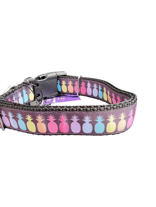 Rainbow Pineapples Nylon Dog Collar - Paws & Play Paradise