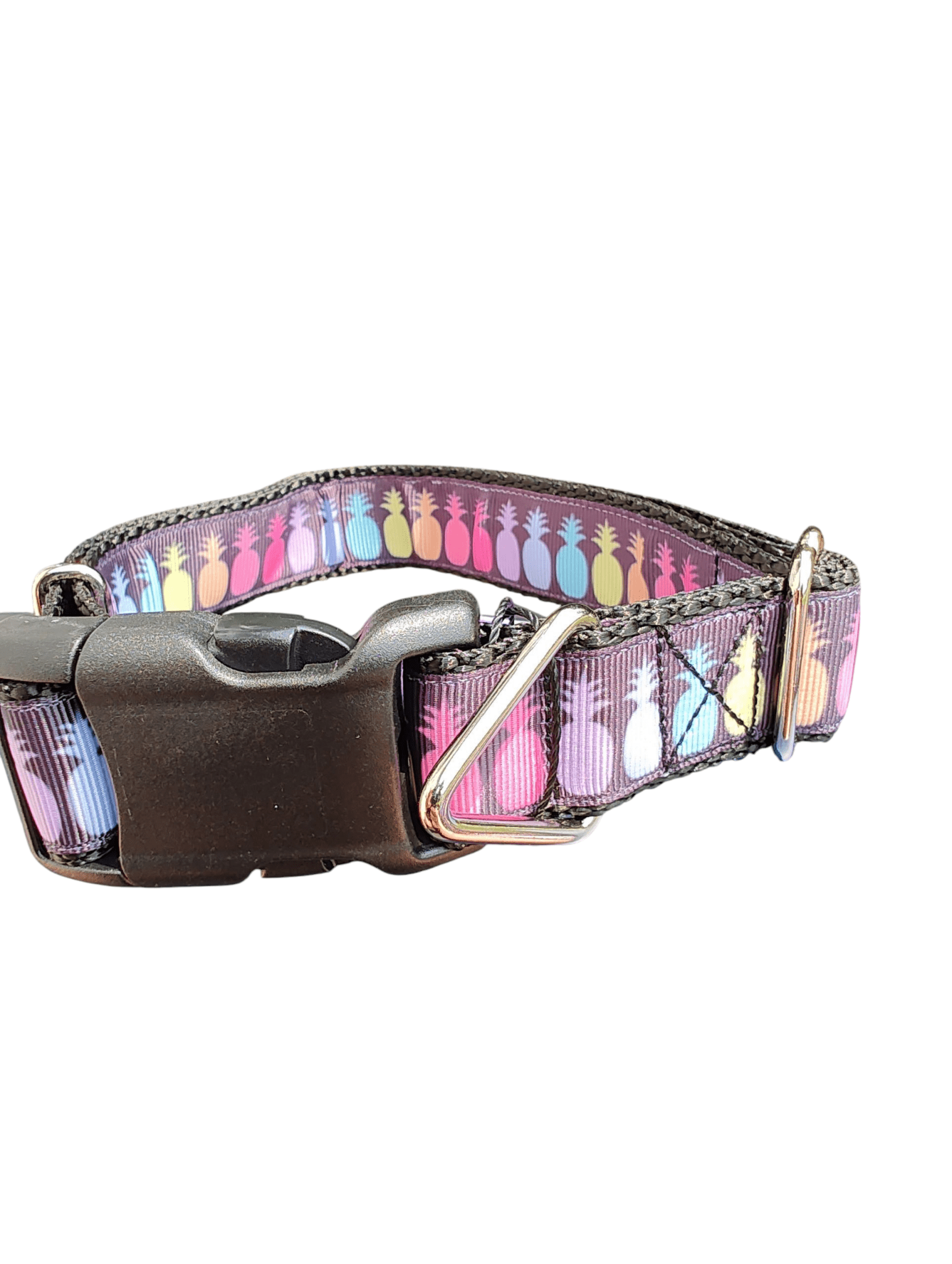 Rainbow Pineapples Nylon Dog Collar - Paws & Play Paradise