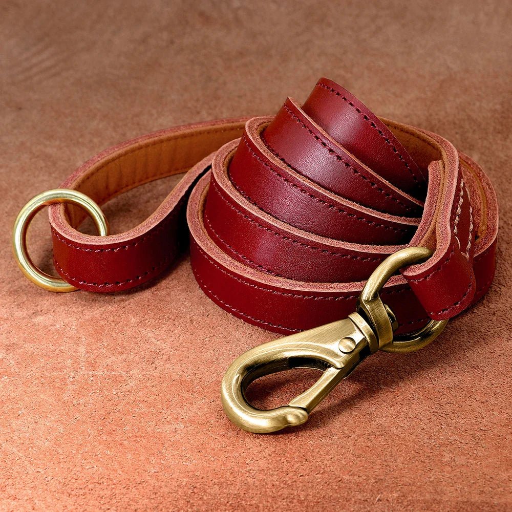 Real Leather Dog Leash Durable Medium Large Dog Lead Genuine Leather Walking Pet Leads Leash for Dogs German Shepherd Pitbull - Paws & Play Paradise