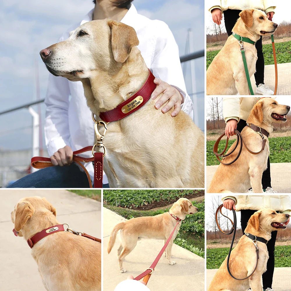 Real Leather Dog Leash Durable Medium Large Dog Lead Genuine Leather Walking Pet Leads Leash for Dogs German Shepherd Pitbull - Paws & Play Paradise